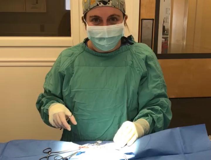 $City Veterinary Surgeries