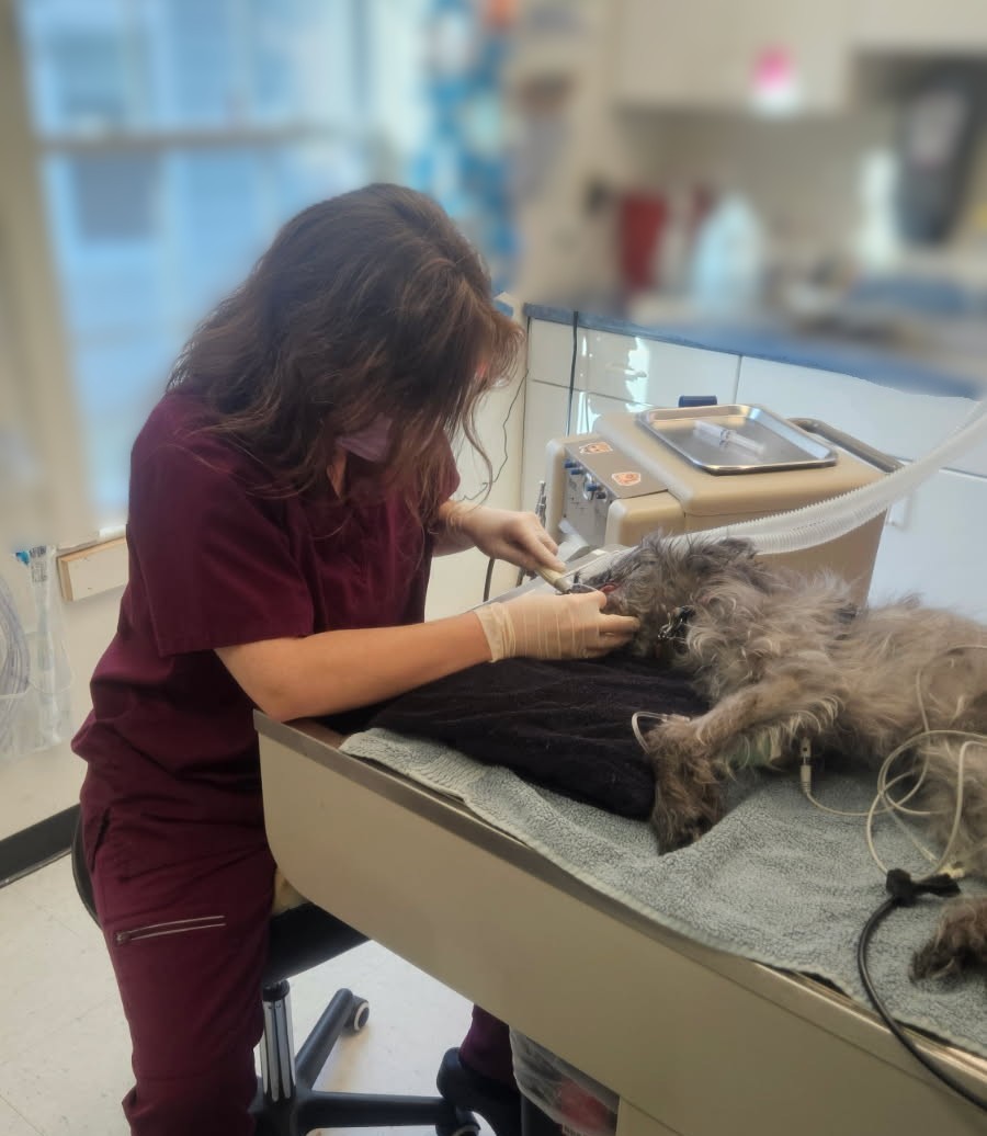 financial well-being