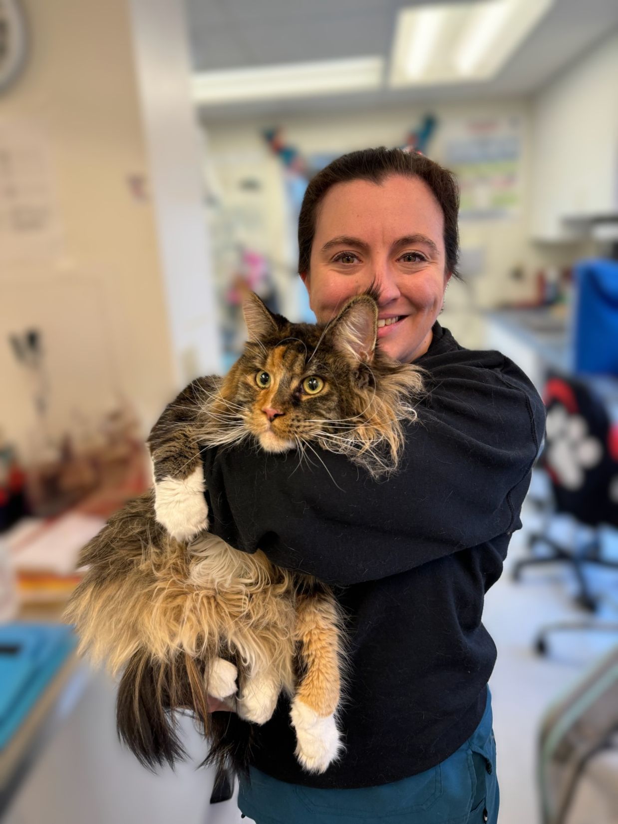 Comprehensive health and wellness benefits