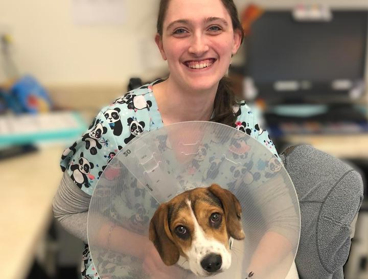 Advanced Soft Tissue Surgery