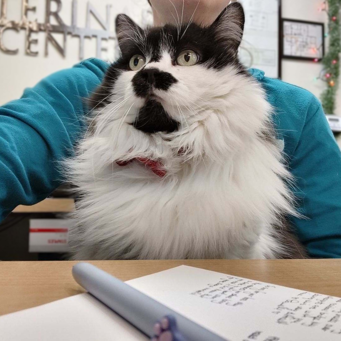 veterinarian near me