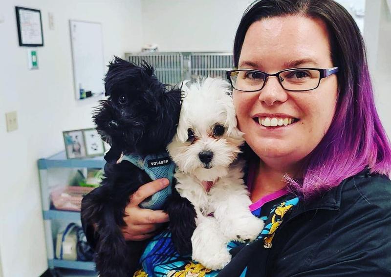 Carousel Slide 3: Hospital Manager, Danielle and puppies.