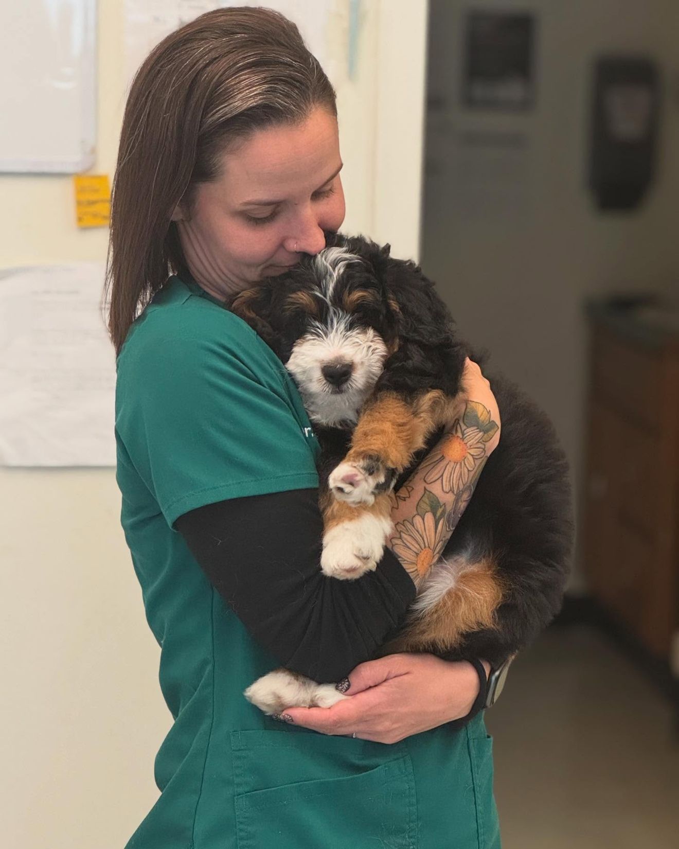 Veterinary Resources for your Pet