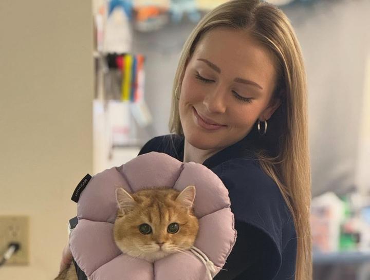 Spay & Neuter Procedures